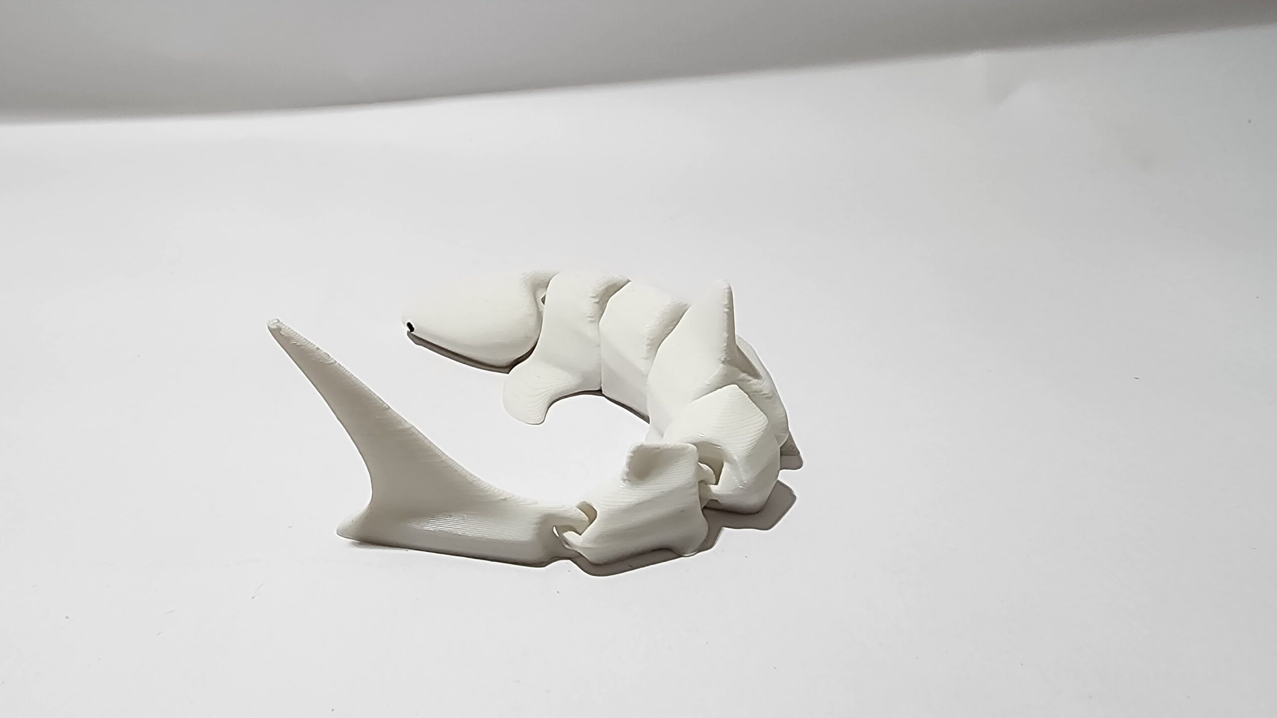 Shark Articulated - Image 4