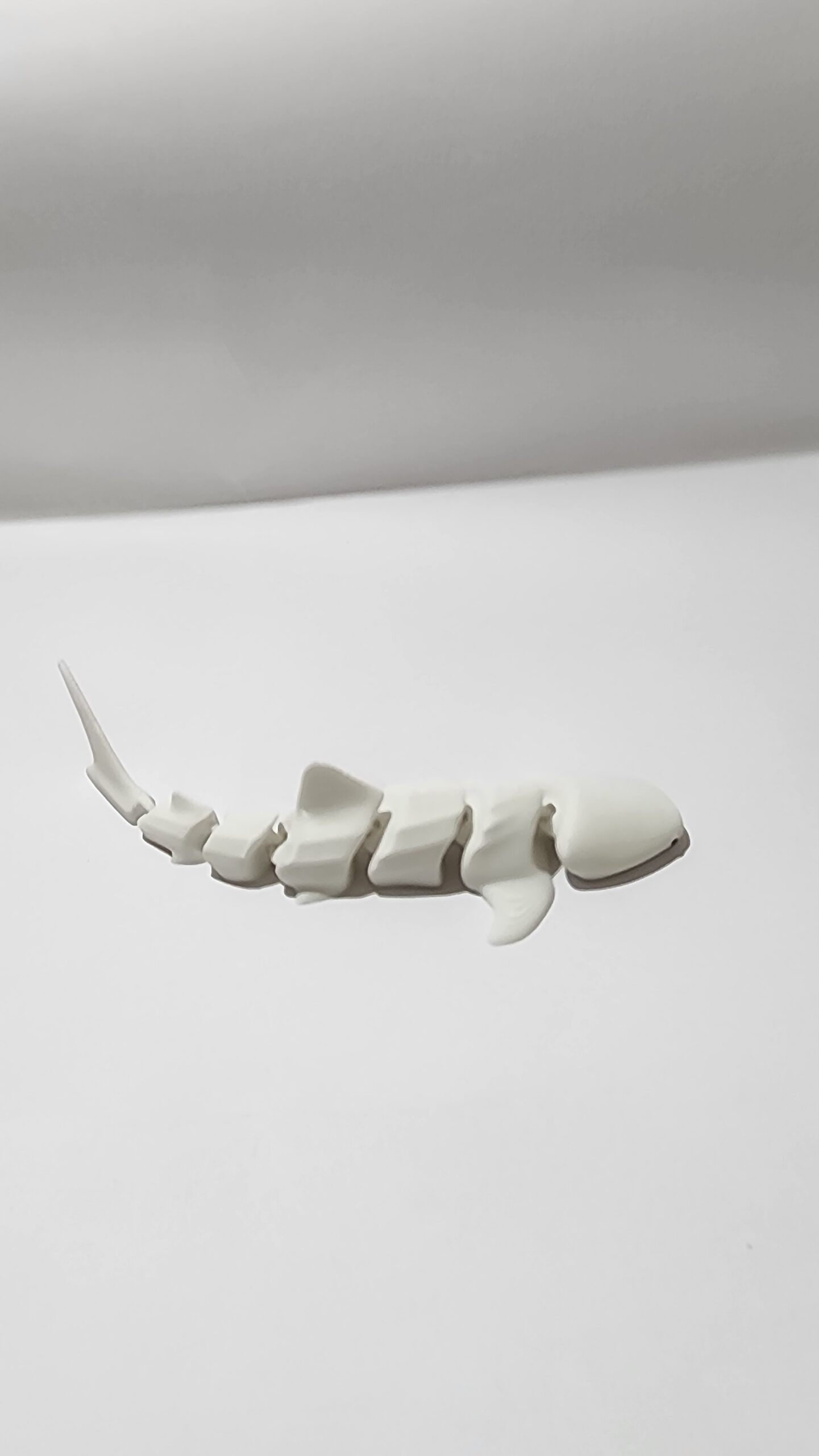 Shark Articulated - Image 3