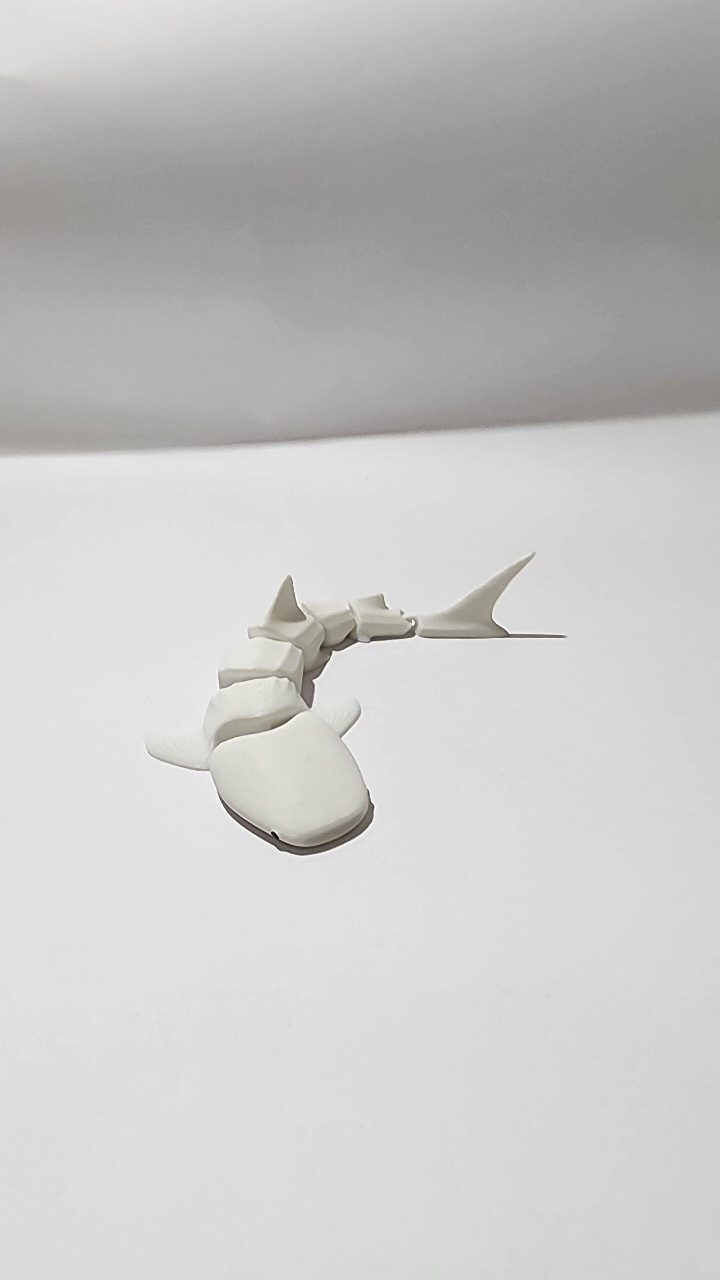 Shark Articulated